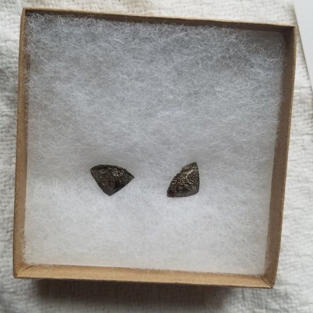 Artisan handmade silver & enamel earrings